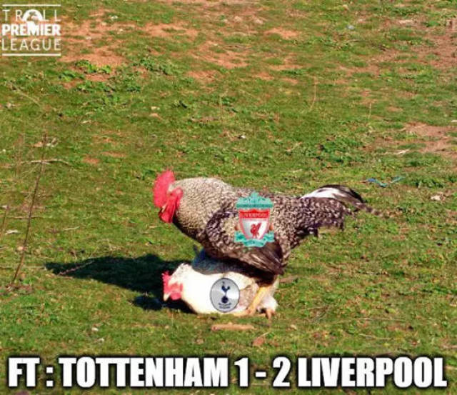 篮球篮网球迷线上投票结果揭晓